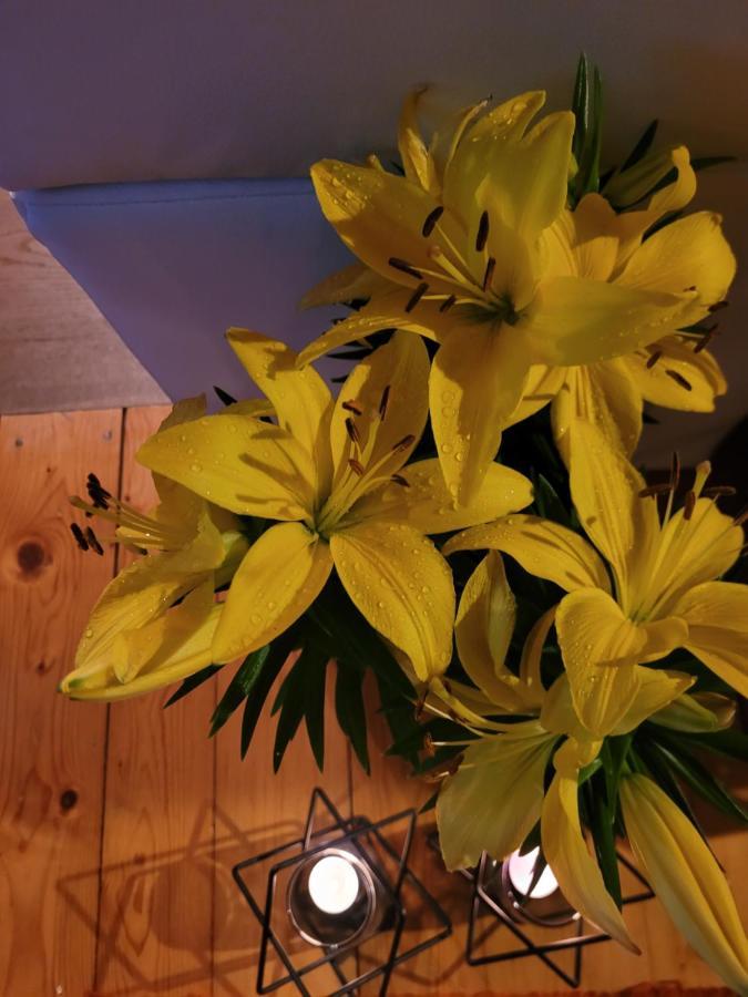 Apartament Lilla Jelenia Góra Екстериор снимка