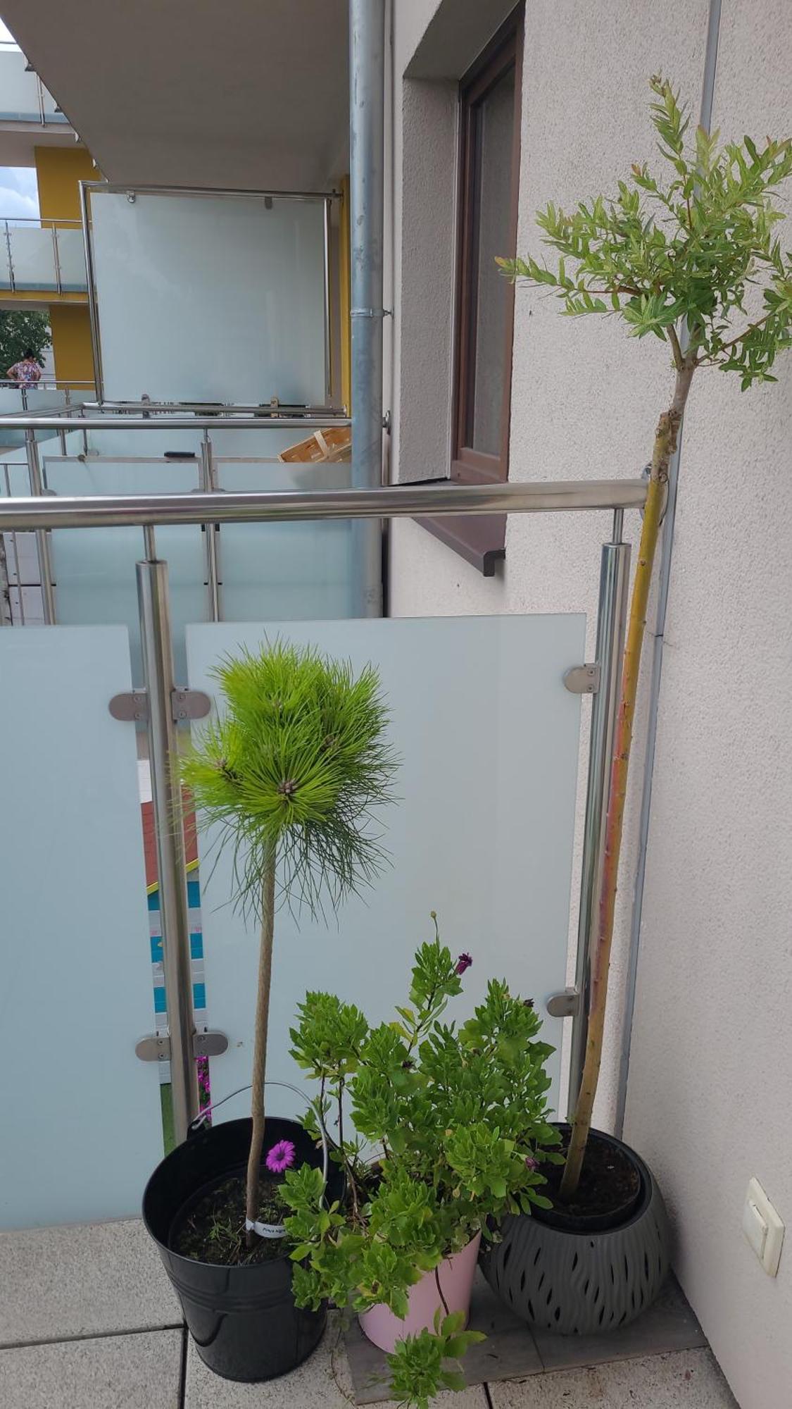 Apartament Lilla Jelenia Góra Екстериор снимка